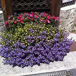 Hotel Gran Baita Gressoney-Saint-Jean